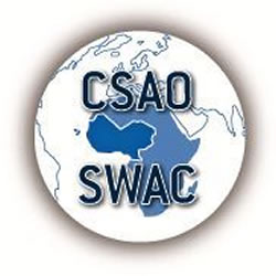 CSAO Image